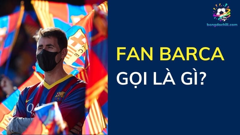 Fan Barca gọi là gì? – Hội fan gắn liền với cái tên bị miệt thị fan barca gọi là gì