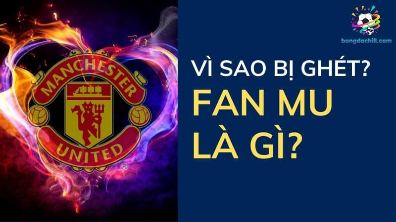 Tại Sao Fan MU Bị Ghét? Sự Thật Sau Ánh Hào Quang Quỷ Đỏ tại sao fan mu bị ghét