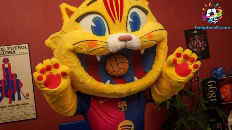 CAT là linh vật gắn liền với văn hóa Catalan