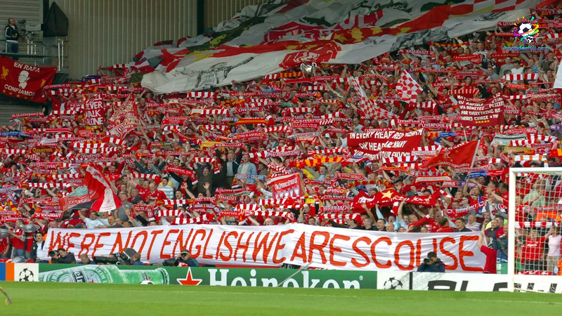 Cộng đồng người hâm mộ trung thành bậc nhất