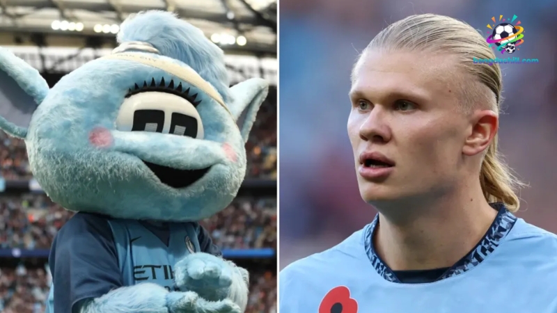 Điều tra về vụ việc hành hung linh vật Manchester City